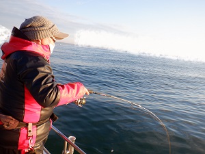 遊漁船 幸友丸 釣果