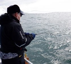 遊漁船 幸友丸 釣果