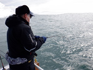 遊漁船 幸友丸 釣果