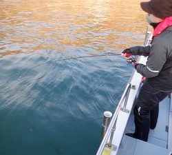 遊漁船 幸友丸 釣果