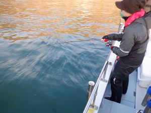 遊漁船 幸友丸 釣果