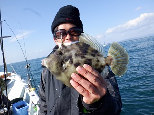 遊漁船 幸友丸 釣果