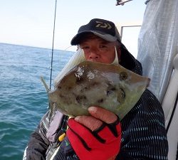 遊漁船 幸友丸 釣果