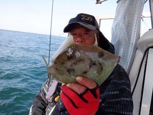 遊漁船 幸友丸 釣果