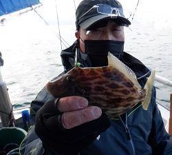 遊漁船 幸友丸 釣果