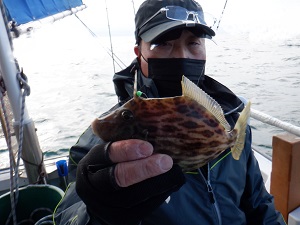 遊漁船 幸友丸 釣果