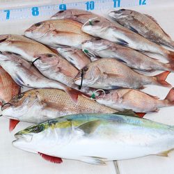 松本釣船２ 釣果