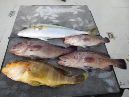 第二一之紀丸(ダイニイチノキマル) 釣果