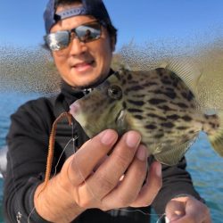 Magic(マジック) 釣果