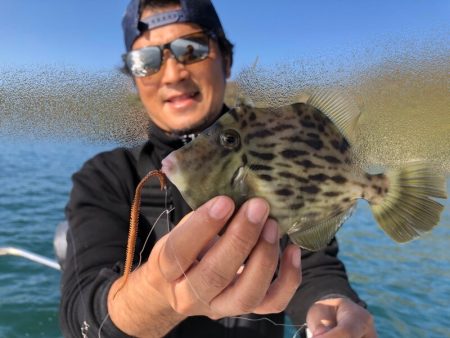 Magic(マジック) 釣果