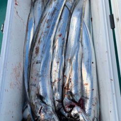 さんさん丸 釣果