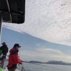 Magic（マジック） 釣果