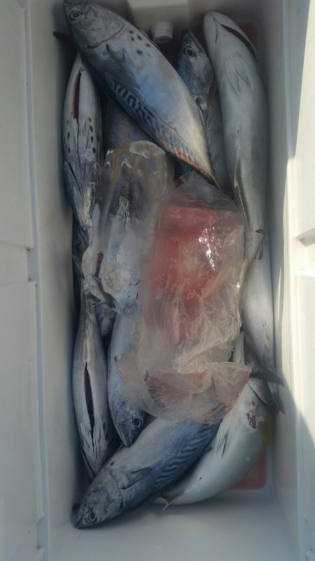 第五慶門丸 釣果