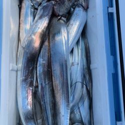 さんさん丸 釣果