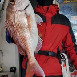 遊漁船 ニライカナイ 釣果