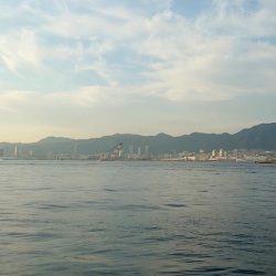 尺アジ？出ました？