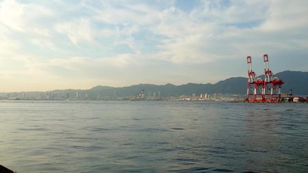 尺アジ？出ました？