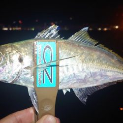 尺アジ？出ました？