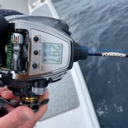 へいみつ丸 釣果