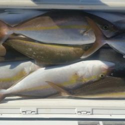 第五慶門丸 釣果