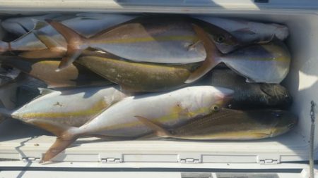 第五慶門丸 釣果