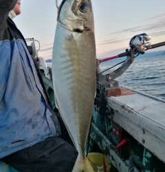 松福丸 釣果