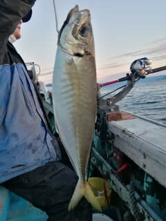 松福丸 釣果