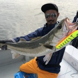 Rush(ラッシュ) 釣果