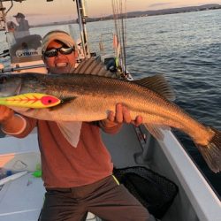 Rush(ラッシュ) 釣果