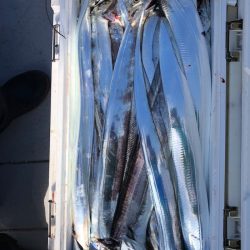 フィッシング　キッタカ 釣果