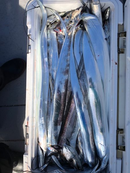 フィッシング　キッタカ 釣果