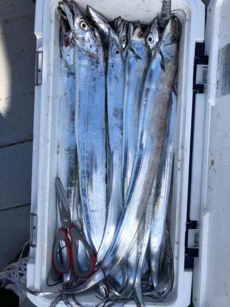 フィッシング　キッタカ 釣果