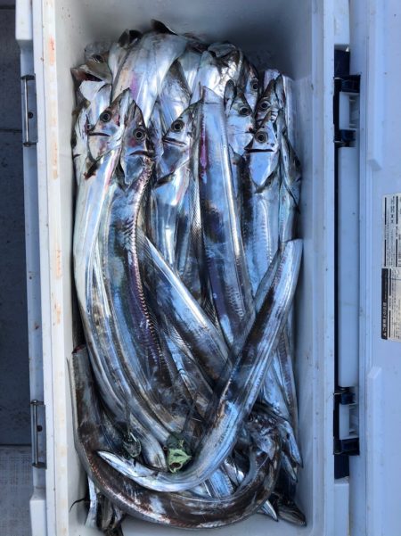 フィッシング　キッタカ 釣果