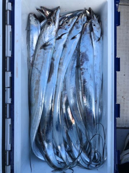 フィッシング　キッタカ 釣果