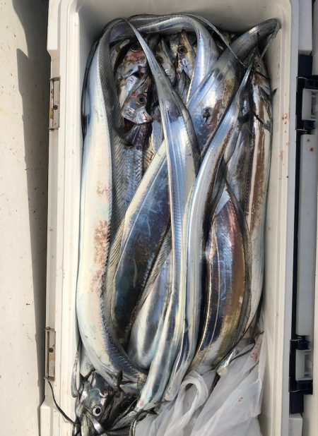 フィッシング　キッタカ 釣果