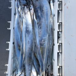 フィッシング　キッタカ 釣果