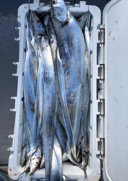 フィッシング　キッタカ 釣果