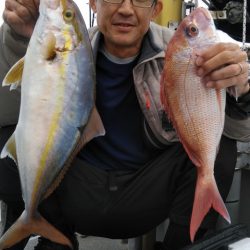 遊漁船 新鋭丸 釣果