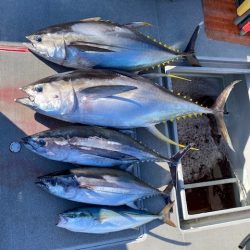 へいみつ丸 釣果