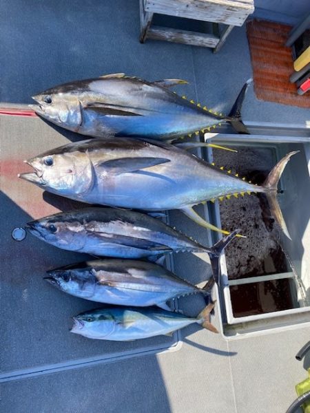 へいみつ丸 釣果