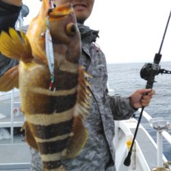 遊漁船 新鋭丸 釣果