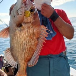 遊漁船 ニライカナイ 釣果