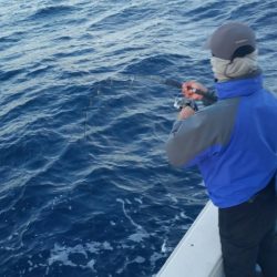 第五慶門丸 釣果