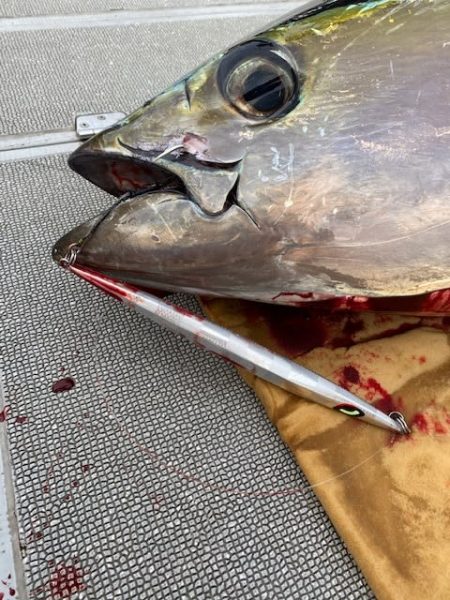 へいみつ丸 釣果