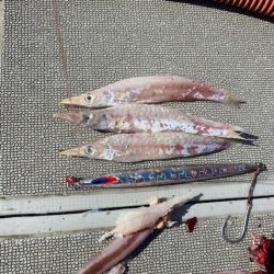 へいみつ丸 釣果