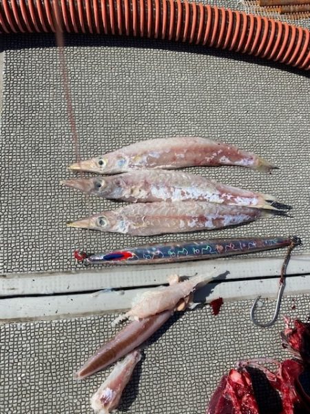 へいみつ丸 釣果