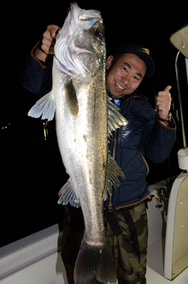 Marine T Design　マリンティ…