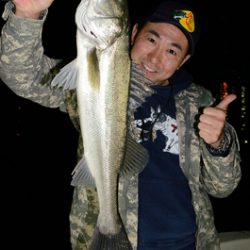 Marine T Design　マリンティーデザイン 釣果