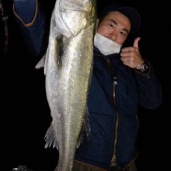 Marine T Design マリンティーデザイン 釣果