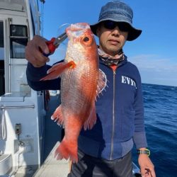 へいみつ丸 釣果